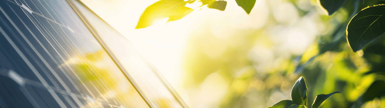 bilancio sostenibilità